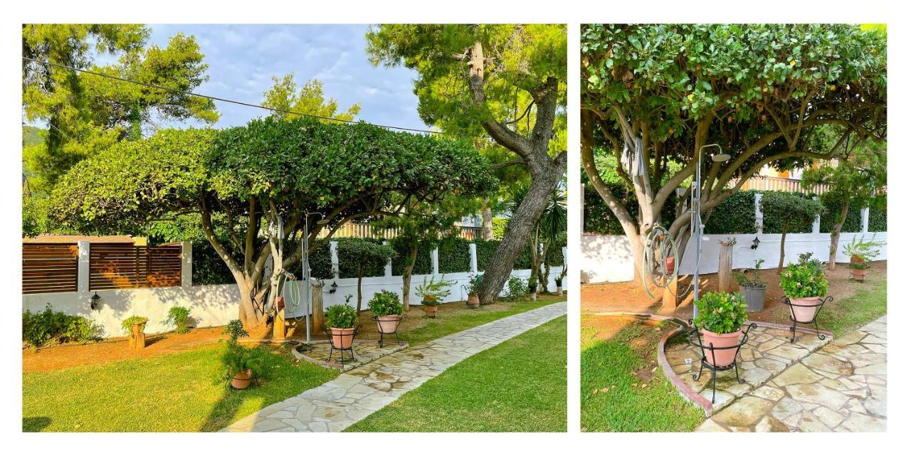 Апартаменты Malakassis House Агиос-Иоаннис Экстерьер фото